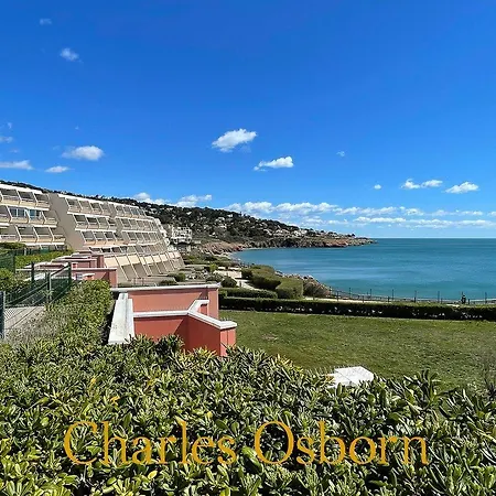 Au Cayenne - Cosy, Terrasse Vue Mer, Equipe, Plages A Pied Apartament *